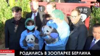 Землетрясение возле Флоренции, массовые потасовки в Алжире, забег Санта-Клаусов в Будапеште