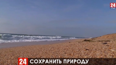 Поправки об охране окружающей среды в Керчи хотят закрепить в Конституции