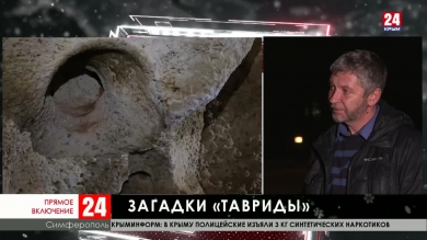 Крымские учёные изучают виды животных, найденных в пещере 