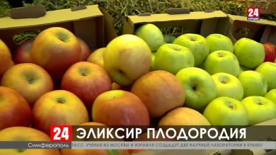 Супер-чернозём в Крыму. Учёные КФУ создали эликсир плодородия