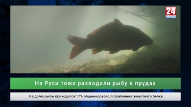 Экономика выпуск от 20.09.19