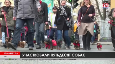 Планета+. Ледовый рекорд не побит в США, карнавальный протест в Бразилии, собачий парад в Германии