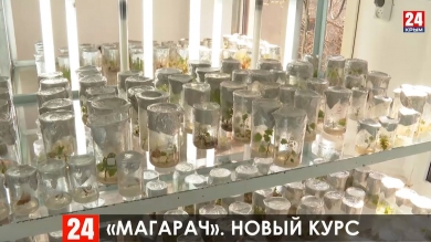 Новости 24 выпуск в 15:00 от 12.03.20