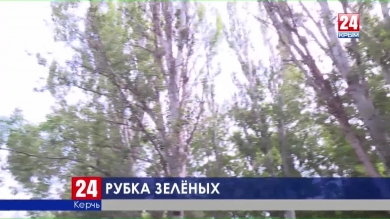 Предотвратить обрушение. В Керчи пилят аварийные деревья