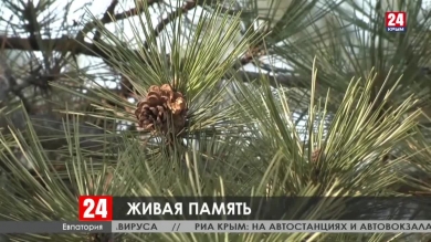 Новости Евпатории. Выпуск от 20.03.20