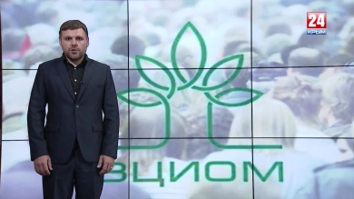 Социология и мы: ВЦИОМ, Крым и наглядные сравнения