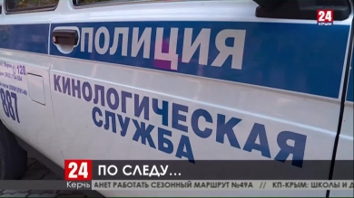 По следу. Как собаки кинологической службы помогают раскрывать преступления?