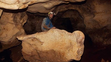 Ученые нашли скелет доисторической змеи в пещере «Таврида» в Крыму