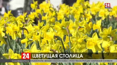 Новости Симферополя. Выпуск от 13.03.20