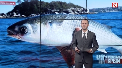 #Чрезвычайный Крым №253