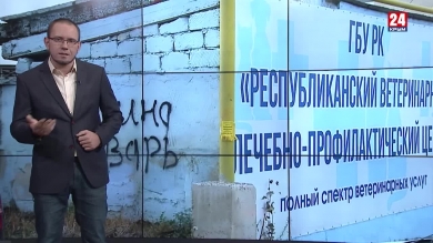 Медвежья услуга. Мишки, бизнес и зубастые каламбуры