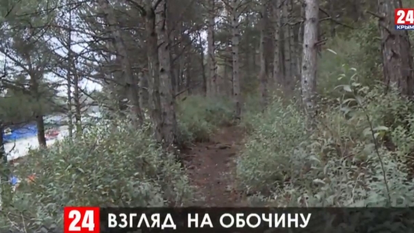 Сорок три километра обочин вдоль южнобережного шоссе приведут в порядок