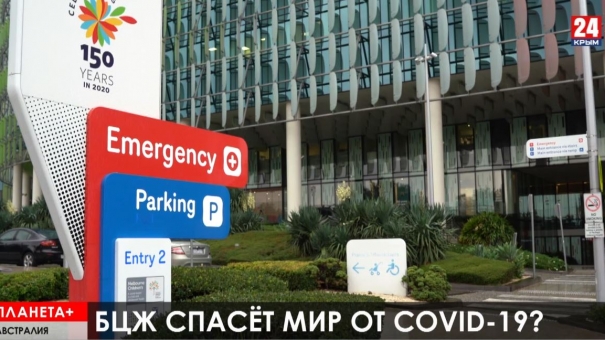 Трамп ограждается от Мексики, мексиканские дроны против вируса, австралийцы надеются на БЦЖ