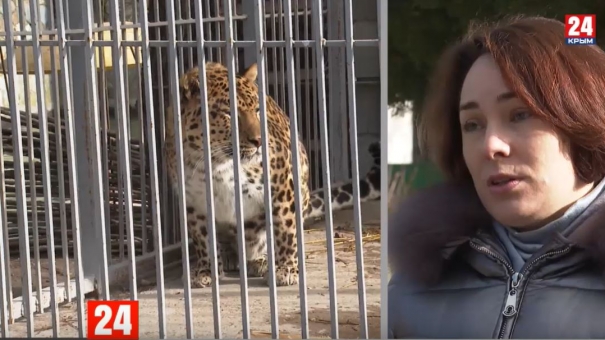 Новый обитатель появился в Детском парке Симферополя