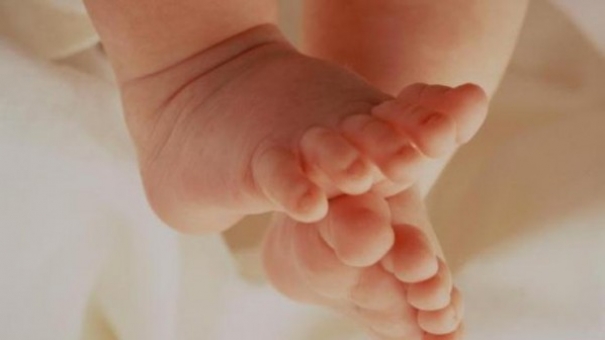 В Московской области торговали младенцами