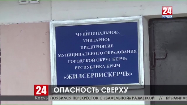 Опасность сверху. Керчанка пострадала из-за падения дерева возле школы