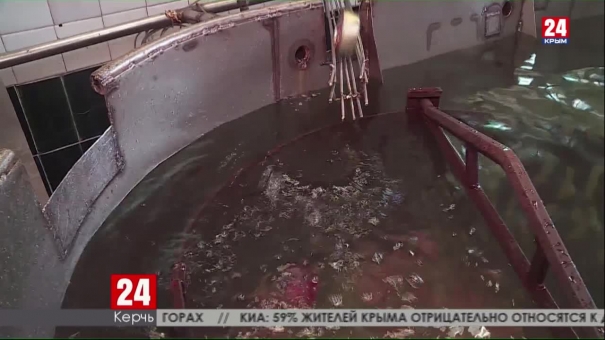 Рыбоконсервный завод в Керчи вышел на рекордный объем производства