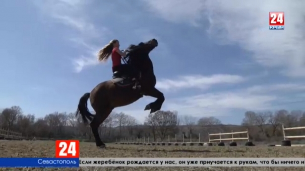 Отрабатывают сцены и репетируют трюки. Севастопольские лошади-актёры готовятся к съёмкам