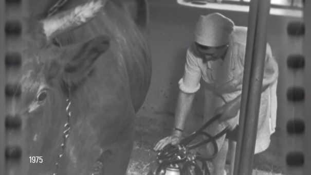 «Эпоха с Сергеем Минчиком». Выпуск № 16