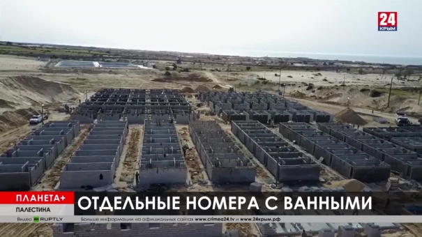 Планета+. Коротко: отмена Олимпиады в Японии, стройка вирусного центра в Палестине, зоопарк Мадрида на карантине