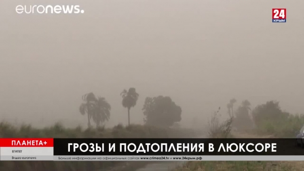 Планета+. Песчаные бури в Египте, Италия прекращает авиасообщение, дефицит туалетной бумаги в Берлине