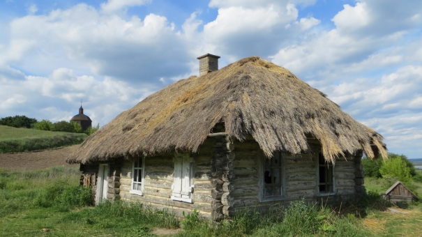 Мнение: итоги первого тура выборов на Украине и прогнозы второго