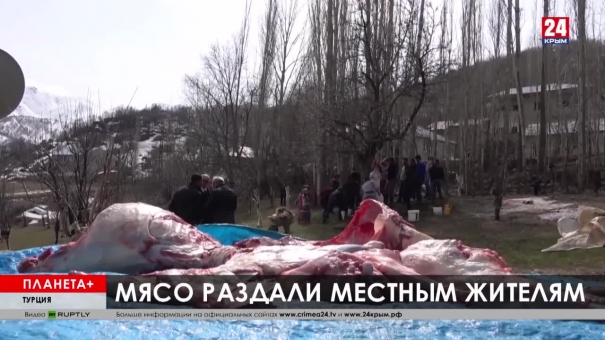 Планета+.  Коротко: 