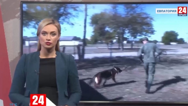 Новости Евпатории. Выпуск от 14.10.19