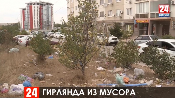 За неделю в Симферополе сгорело 6 мусорных баков