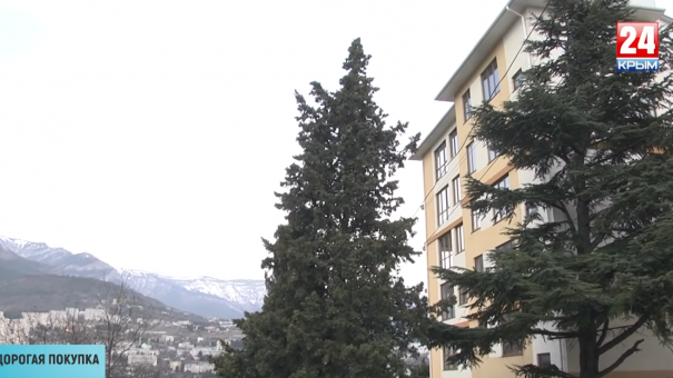 Дорогая покупка