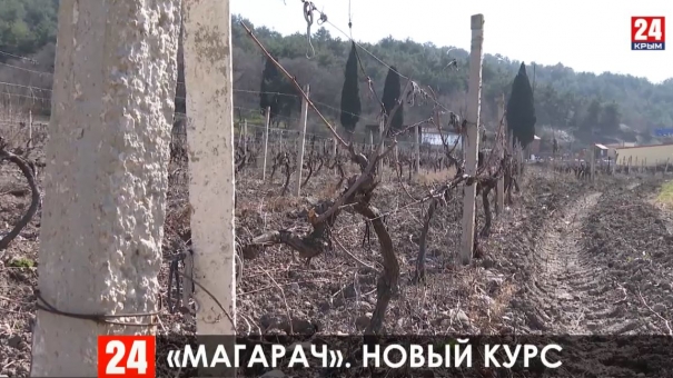 Новости 24 выпуск в 17:00 от 12.03.20