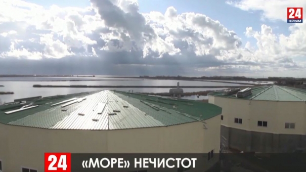 Новости Евпатории. Выпуск от 13.02.20