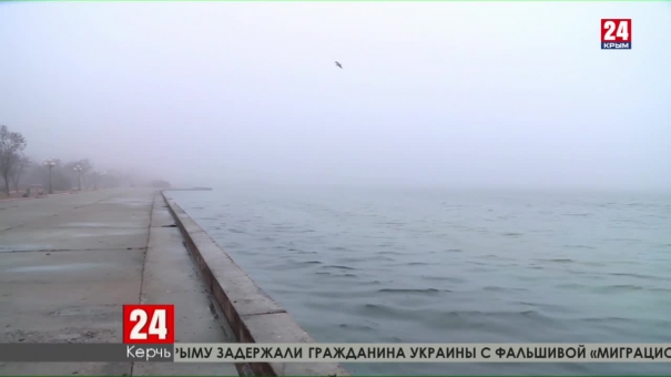 Специалисты Росприроднадзора выясняют происхождение маслянистых пятен в море у берегов Керчи