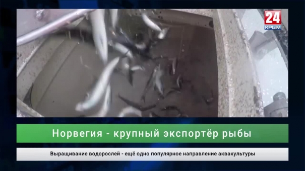 Экономика выпуск от 13.09.19