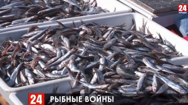 Новости Керчи. Выпуск от 21.10.19