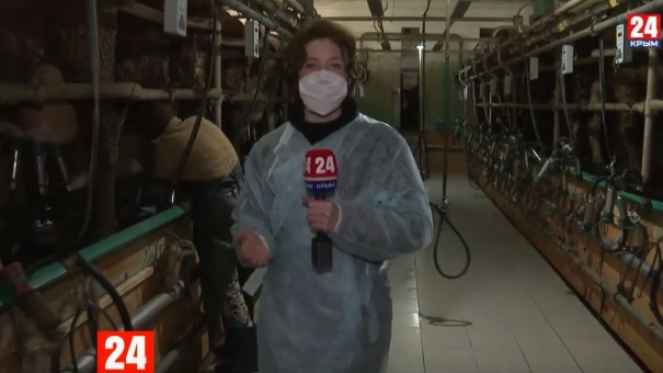 200 миллионов рублей выделили в этом году на поддержку крымских производителей молока