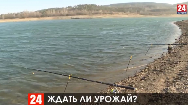 Новости 24 выпуск 20:00 от 14.11.19