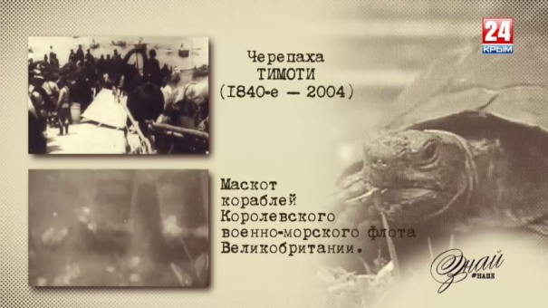 «#ЗнайНаше». Выпуск № 112. Тимоти