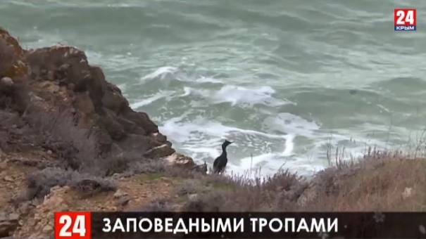 Опукский природный заповедник станет частью дирекции 