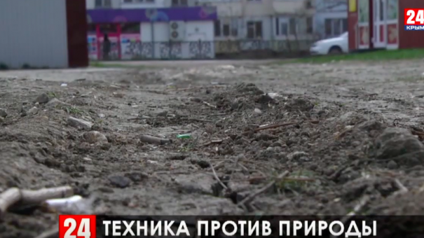 Зелёные насаждения в Керчи нуждаются в дополнительной защите