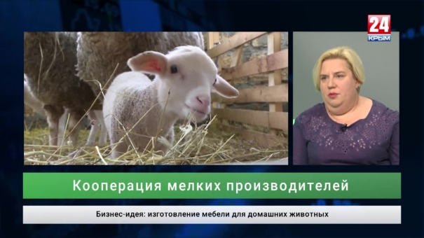 Экономика выпуск от 09.09.19