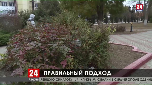 Сохранять насаждения. В Керчи планируют возродить зеленхоз