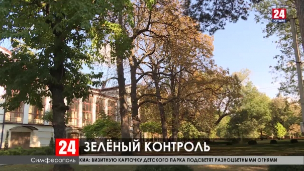 В Симферополе  появилась уникальная геоинформационная система для ухода за деревьями