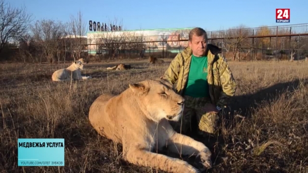 Новый скандал вокруг крымского сафари-парка «Тайган»