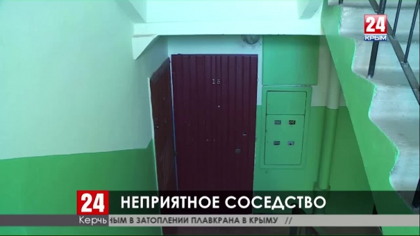 Жители керченской многоэтажки страдают из-за соседа, приютившего десяток кошек