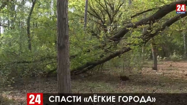 Казённый сад в Керчи благоустроят в течение трёх лет