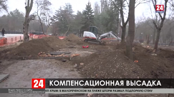 Вместо деревьев, вырубленных на набережной, высадят новые