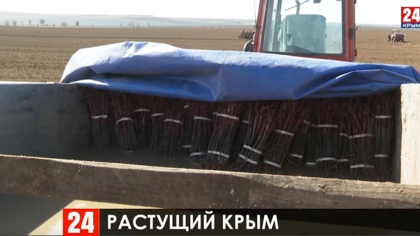 Новости 24 выпуск в 23:00 от 05.03.20