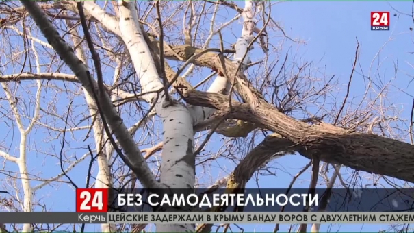 Новости Керчи. Выпуск от 16.12.19