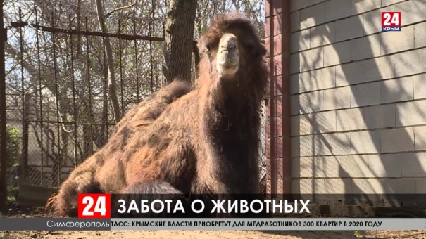 Депутаты проверили состояние обитателя симферопольского зоопарка